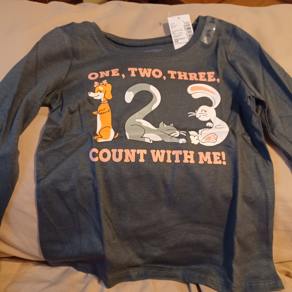 The Children's Place Gray and Orange Long Sleeve Tee